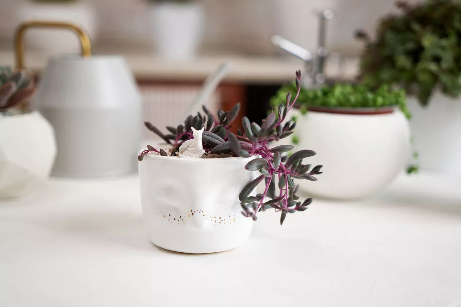 Ruby's necklace plant