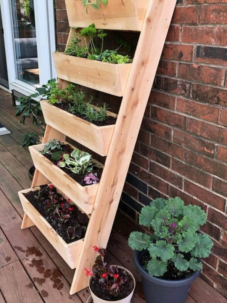 angled cedar planter boxes with outdoor herbs