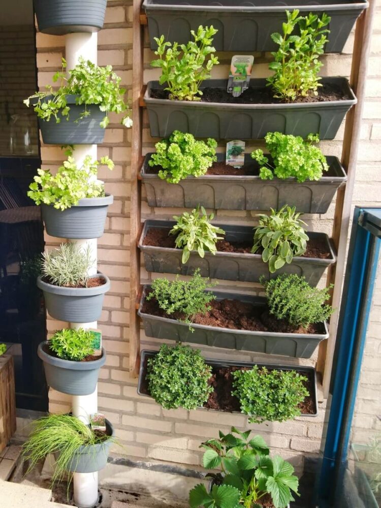 balcony herb garden with stacked gray planters