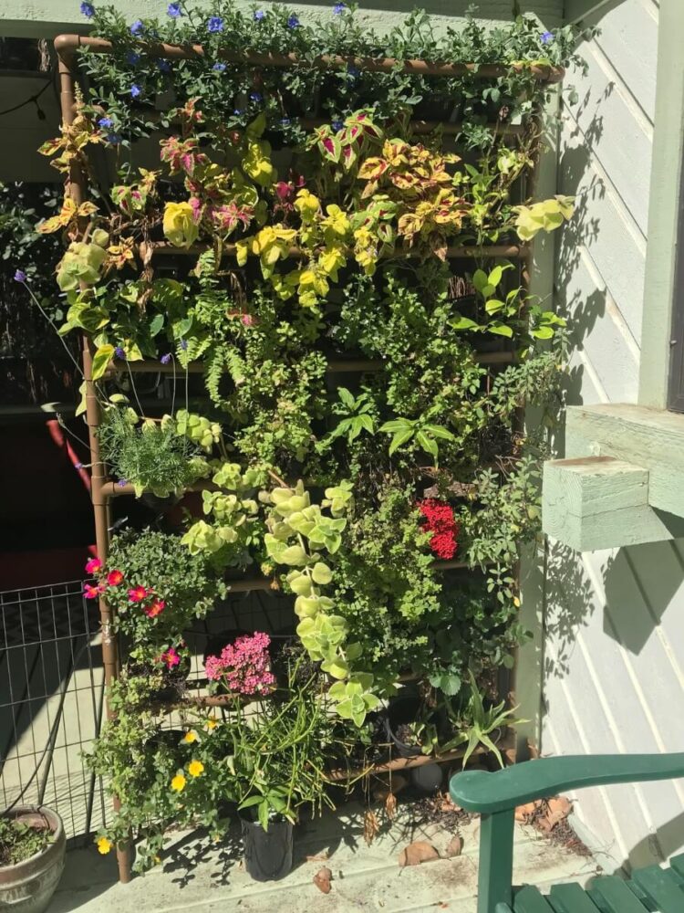 pvc pipe garden system with irrigation on sunny wall