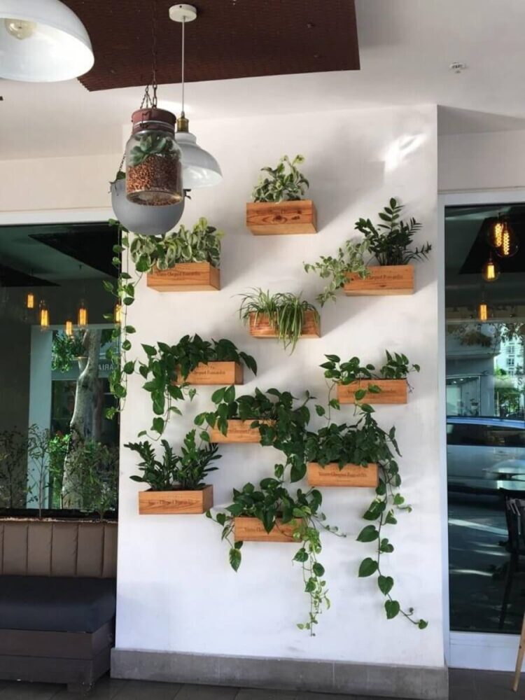 wine box wall garden with indoor plants and lighting