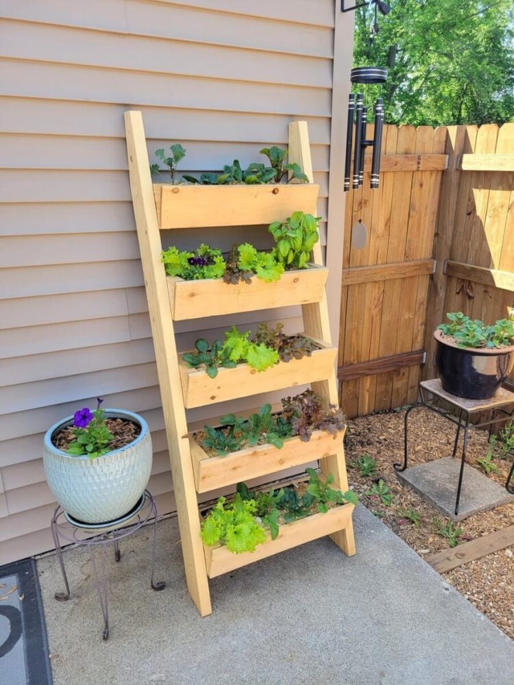 wooden ladder planter with tiered garden boxes
