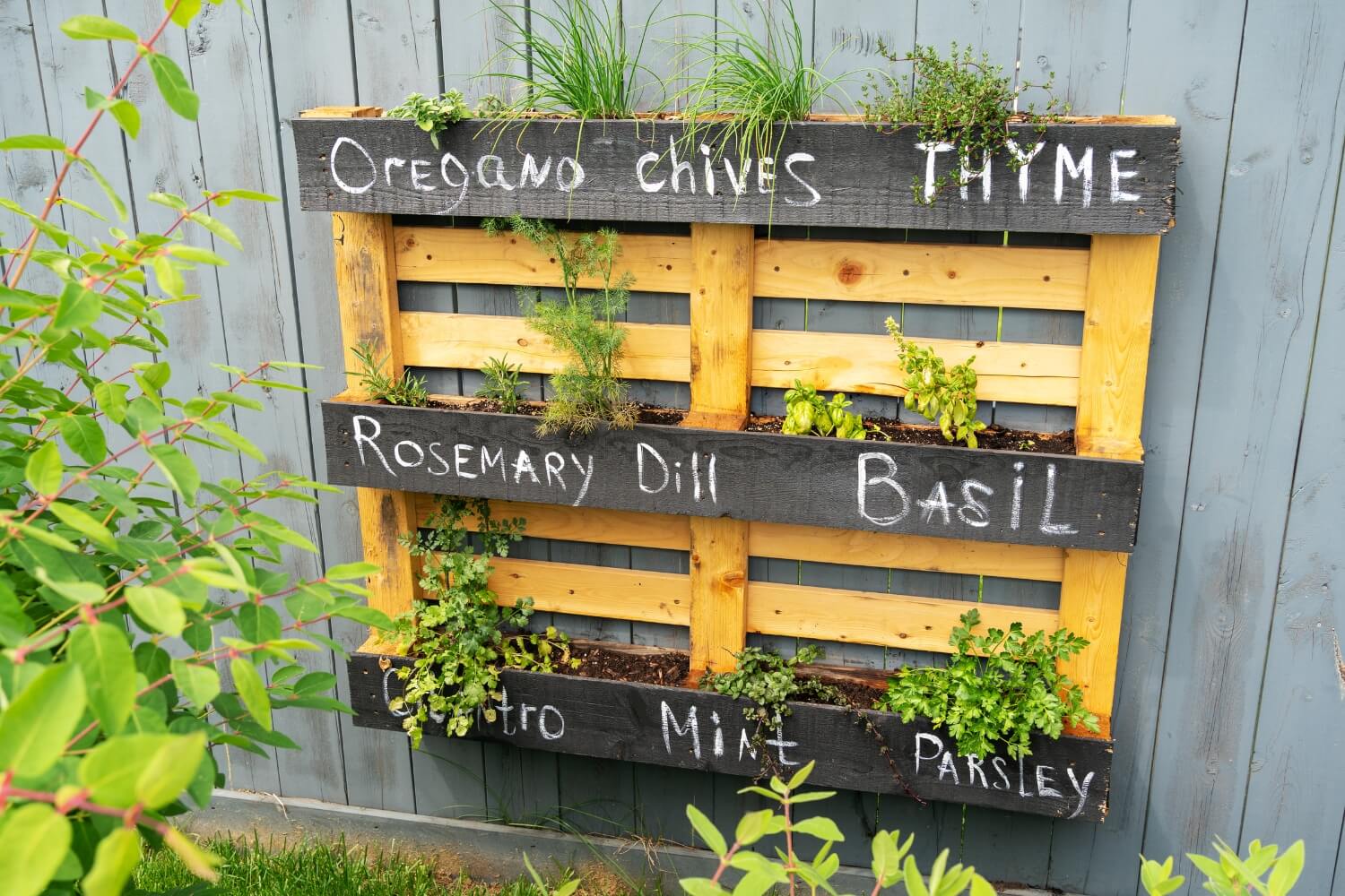 Wooden pallet creative idea for making stylish garden hanging planter for herbs or vegetables.