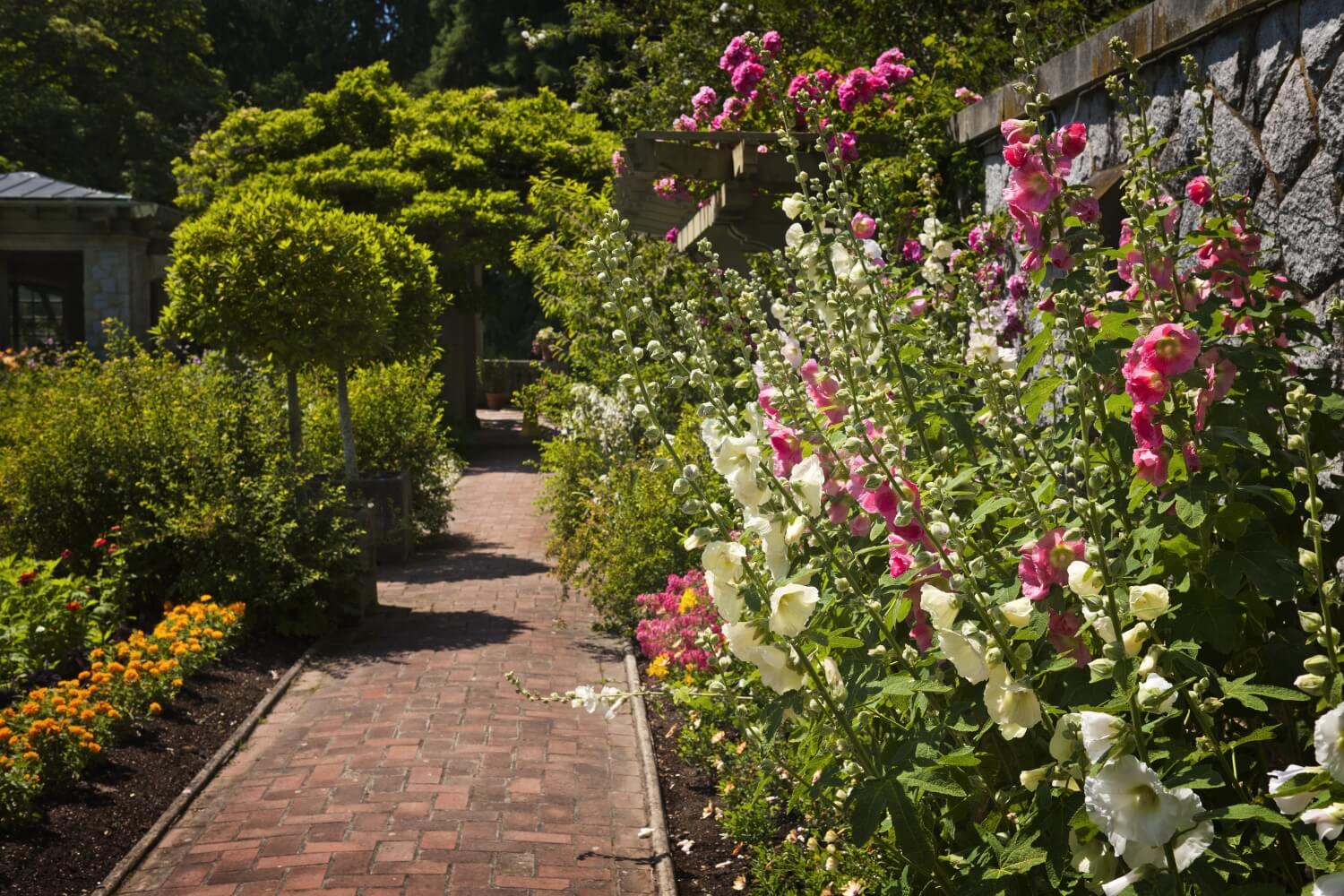 Colorful flower garden