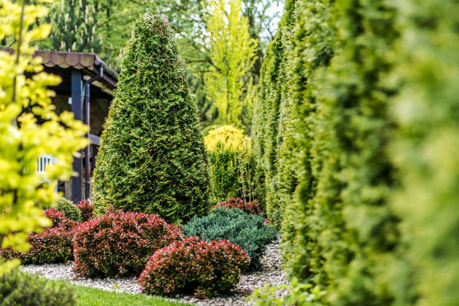 Beautiful Backyard Garden